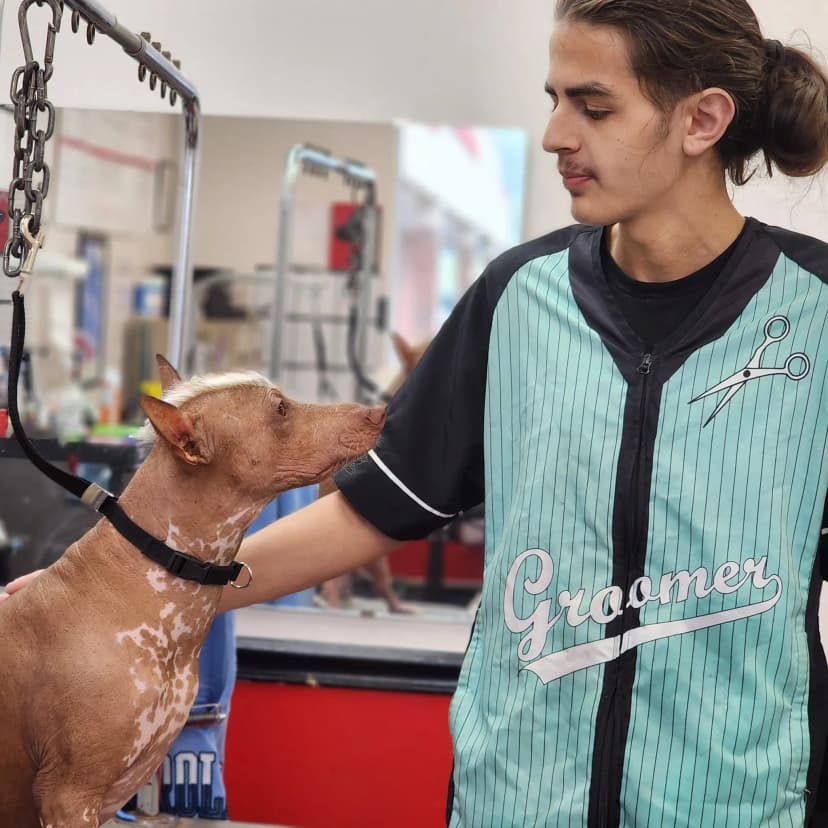Dog Bath image