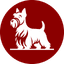 Wash and Wag logo
